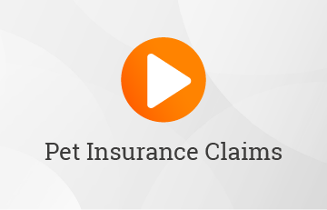 Pet Insurance Claims